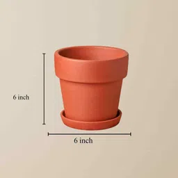 the handicraftian 6 Pcs Red Terracotta 6 Inchs Planters image 2