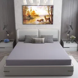 dream care Cotts Wonder Waterproof Fitted Terry Cotton King Size (72x72) Mattress Protector In Grey Colour image 1