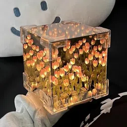 ozla Tulip Cube Mirror Lamp, LED Decorative Lamp Table Lamp-picture-29