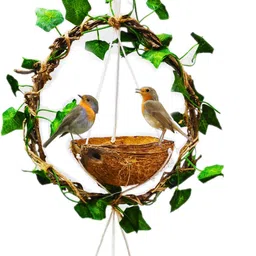 coconut bird feeder and mini plant hanger for balcony and garden Common Bird Feeder-image-32