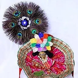 rajmart global Pack of 1 Decorative Feathers image 2