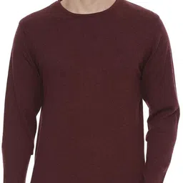 allen solly Men Woven Round Neck Maroon Sweater-picture-17