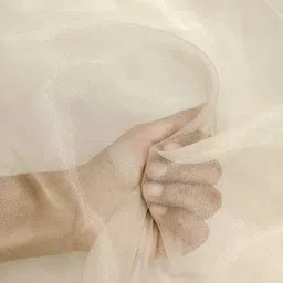 ramiv vastra Unstitched Organza Multipurpose Running Fabric Solid image 2