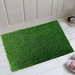 greengrass Artificial Grass, PP (Polypropylene), PVC (Polyvinyl Chloride) Door Mat-picture-25