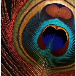 SKINADDA POCO M7 PLUS Premium Vinyl BACK 215 Mobile Skin image 1