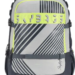 skybags Large 31 L Laptop Backpack CRUZE XL COLLEGE LAPTOP BACKPACK GREY-picture-18
