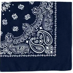 xectus Men Printed Bandana image 4