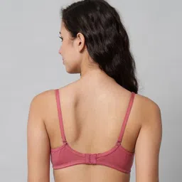extoes Pack of 2 Women Push-up Lightly Padded Bra image 2