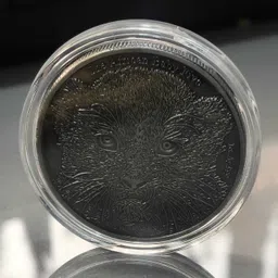 vkcoins Burundi 5000 Francs 2014 - Leopard beautiful with capsule Modern Coin Collection image 3