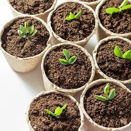 atom agrotech Cocopeat Compost Manure ready to use in Garden and Vegetables Potting Mixture image 3