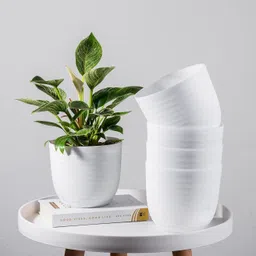 snshopee 5 Beautiful Wave Matte Finish planters flower plant pots gamla gardening Plant Container Set-picture-38