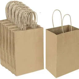 interbix nature plus pvt ltd Solid Party Bag image 2