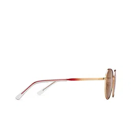 Vincent Chase by Lenskart Unisex Round Sunglasses with Polarised and UV Protected Lens 213264 image 4