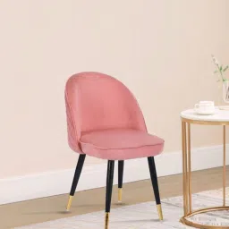 casacraft from pepperfry Iris Fabric Dining Chair In Pink Colour image 1