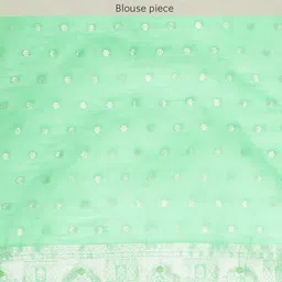 Leeza Store Sea Green & Silver-Coloured Ethnic Motifs Zari Organza Banarasi Saree image 3