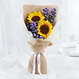 Sunflower Dream-image-23