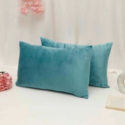 the conversion Turquoise Solid 200 TC Velevt 2 Pillow Covers-picture-20