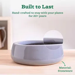 ugaoo Tulip Fantasy Flat Grey Ceramic Planter image 3