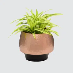 royaloak Metal Two Tone Small Table Planter Black - Rosegold image 3