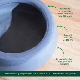 ugaoo Tulip Fantasy Flat Grey Ceramic Planter image 5