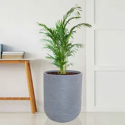 nora Medium Iris Grey Polyethylene Floor Planter image 1