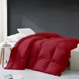 RAZZAI Burgundy & Grey Microfiber Mild Winter 500 GSM Single Bed Comforter-image-74