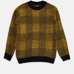 Pantaloons Junior Boys Yellow & Brown Checked Sweater-picture-40