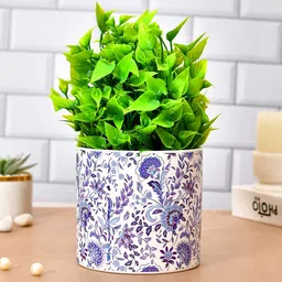 TAYHAA White & Blue Floral Printed Ceramic Planter-picture-36
