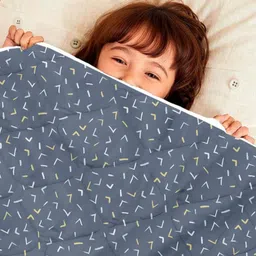 Divine Casa Blue & White Microfiber Mild Winter 120 GSM Single Bed Comforter image 2