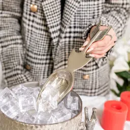 GIBOX Arrow Ice Scooper Silver Premium Bar Accessory for Home Party Serving Spoon Big Size Home D cor image 2