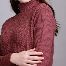 GODFREY Cable Knit Self Design Turtle Neck Ribbed Woollen Pullover image 4
