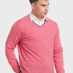 ColorPlus Men Red Ribbed Pullover image 2