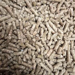 adilaid Ultimum Indoor Pet Rabbit Feed Pellets Flavour Vegetable 4.5 kg Dry Young, Adult, Senior Rabbit Food image 4
