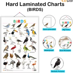go woo Pack of 2 Domestic Animals and Pets and Birds Educational charts with Lamination image 2