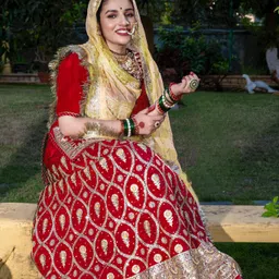 shyamlata Embroidered Semi Stitched Rajasthani Poshak image 2