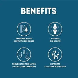 AADAR ORTHO SURE Capsule | Ayurvedic Pain Relief Capsule for Knee, Back, Joints and Muscle Pain Relief | Shallaki, Hadjod, Nirgundi | 60 Capsules (Pack of 2) image 4