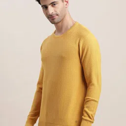 Turtle Men Round Neck Pullover Sweaters image 2
