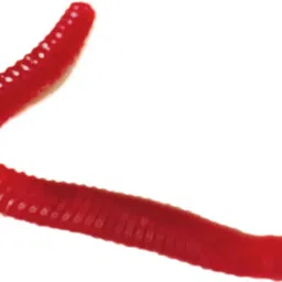 tensionx Plug Silicone Fishing Lure image 3