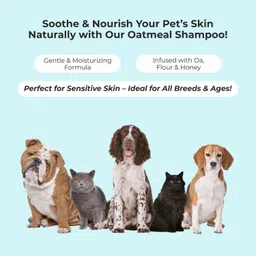 pure tails Oatmeal Shampoo Anti-itching, Itch Relief, Anti-dandruff, Conditioning Colloidal Oat &, Honey Dog, Cat Shampoo image 2
