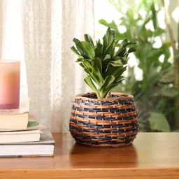 peepul tree Textured Wooden Wicker Planter Wooden Fruit & Vegetable Basket-picture-19