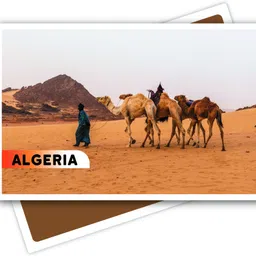 Fridge Magnet 4x3 Inch Big Size Decor for Home, Office, Locker, PC, Almirah Fridge Magnet Pack of 1-image-58