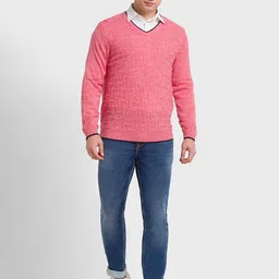 ColorPlus Men Red Ribbed Pullover image 4