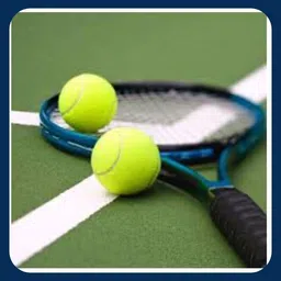 jai shri New-Tennis ball _337Pack of 6 Tennis Ball-picture-15