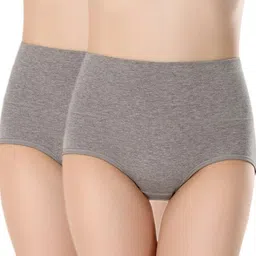 plumbury Pack of 2 Women Hipster Grey Panty image 1