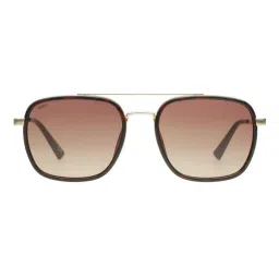 scott accessories Scott Sunglasses Unisex Plastic Brown Square Full Rim Sunglass (Scott 3174 Kyler C2 S )-55-picture-23