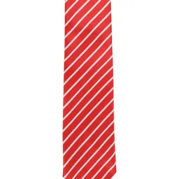 Alvaro Castagnino Men Red & White Striped Broad Tie-picture-27