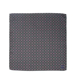 Peluche Men Multicolored Printed Pocket Square image 3