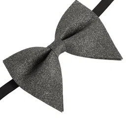 Alvaro Castagnino Men Grey Bow Tie image 4