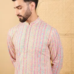 Ethnic Bay Striped Mandarin Collar Long Sleeves Regular Straight Kurta-picture-31