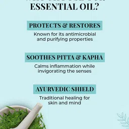 Just Herbs 100% Pure Tea Tree Essential Oil For Acne & Dehydrated Hair - 30 ml image 3